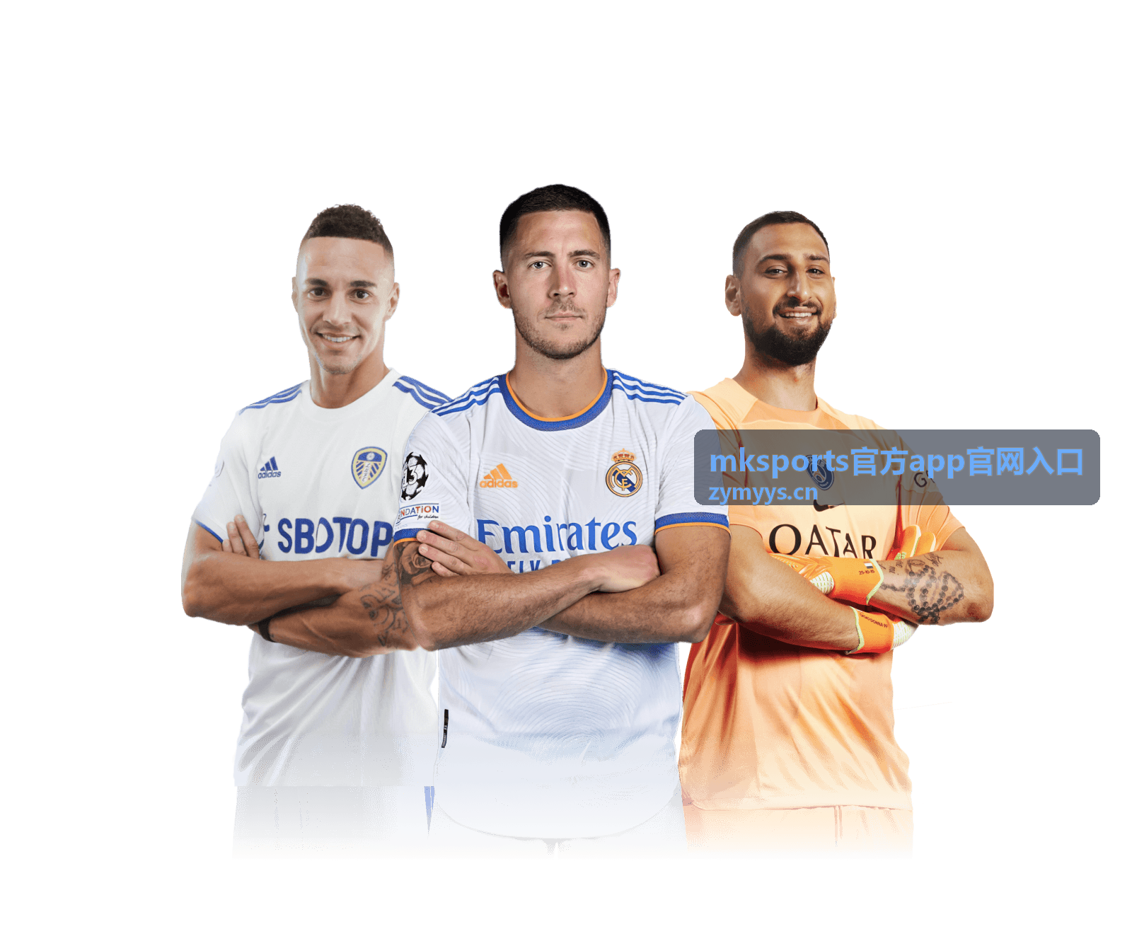 mksports官方app官网入口开播提醒与回放专区配图